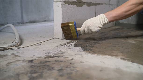 SJ Waterproofing Pros Waterproofing coverage map for Woodville, AL and surrounding area